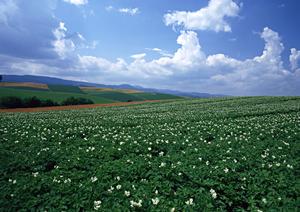 静岡県焼津市における家族葬に最適な斎場【富士葬祭 焼津中央】の全て