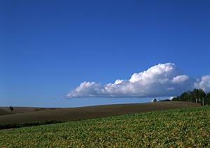 富士葬祭 富士青島｜家族葬に最適な小規模葬儀場と安心のサポート体制