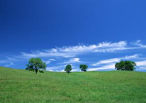 静岡県藤枝市の家族葬ホール｜家族葬のタクセル高柳の特徴とアクセス情報