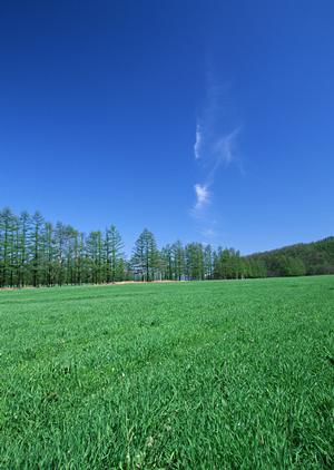 静岡県浜松市に新オープン！家族葬専門の葬儀場「家族葬のタクセル葵西」の特徴とサービス内容