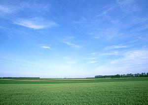 磐田市における信頼の葬儀サービス：富士葬祭 中泉の特徴と施設情報