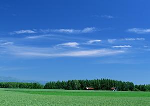 静岡市の家族葬に最適な葬儀場「家族葬のタクセル西中原」：安価で信頼の安心サービス