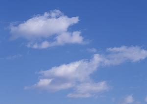 404エラーの原因と解決方法：ウェブサイトのアクセス問題を解消するための包括的ガイド