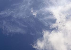 静岡県で低価格な家族葬・火葬を提供する家族葬のタクセル：斎場・葬儀場の詳細と特徴