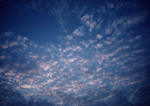 浜松市の家族葬に最適な葬儀場【富士葬祭 小豆餅】? 安心のサービスと充実した設備を紹介