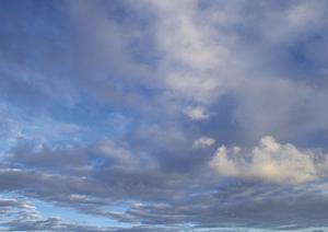 浜松市で安心して任せられる葬祭サービス｜富士葬祭 高林の特徴と店舗情報