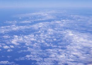 【最新情報】千葉県野田市の家族葬対応葬儀場「ティア野田」の特徴と利用ガイド